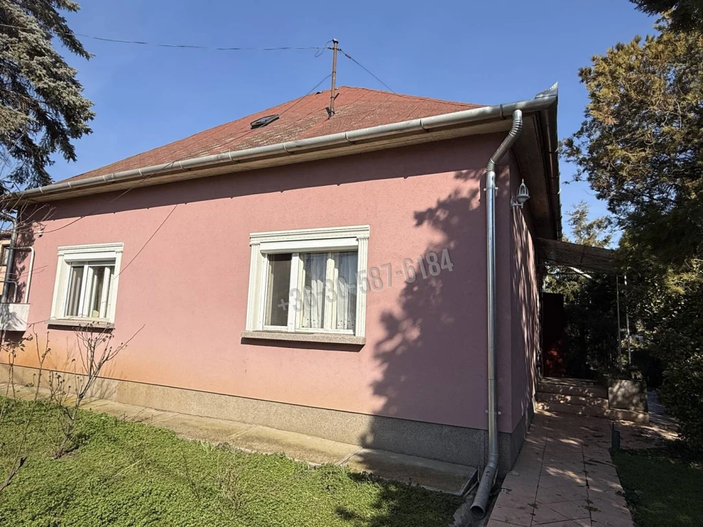 c3-1-name c2-1-name, Püspökladány, Belváros
