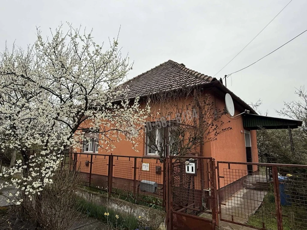 c3-1-name c2-1-name, Püspökladány, Belváros