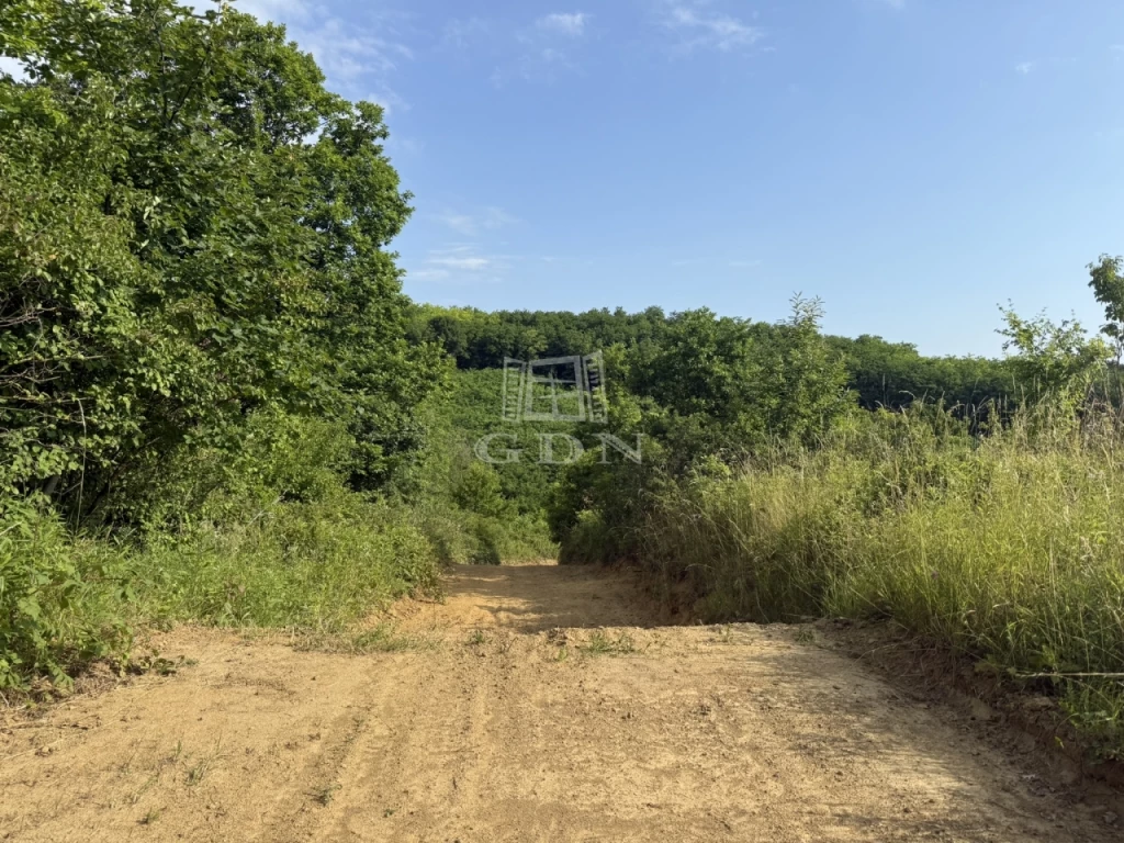 Eladó külterületi telek, Bocfölde, Eladó Motocross és Enduro pálya!
