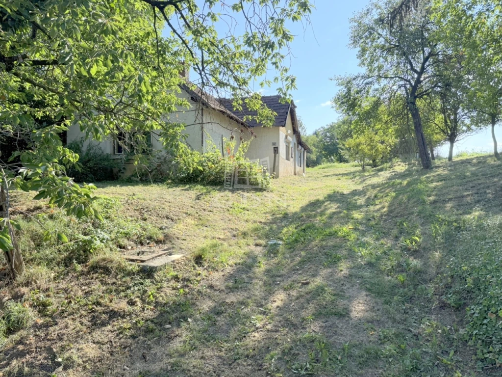 c3-1-name c2-1-name, Zalatárnok, Zalatárnok csendes utcája