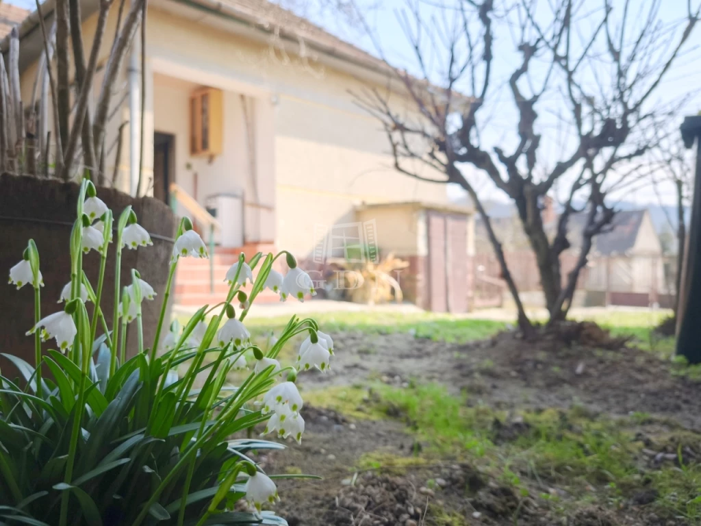 Eladó családi ház, Csatár, Közkedvelt utcája