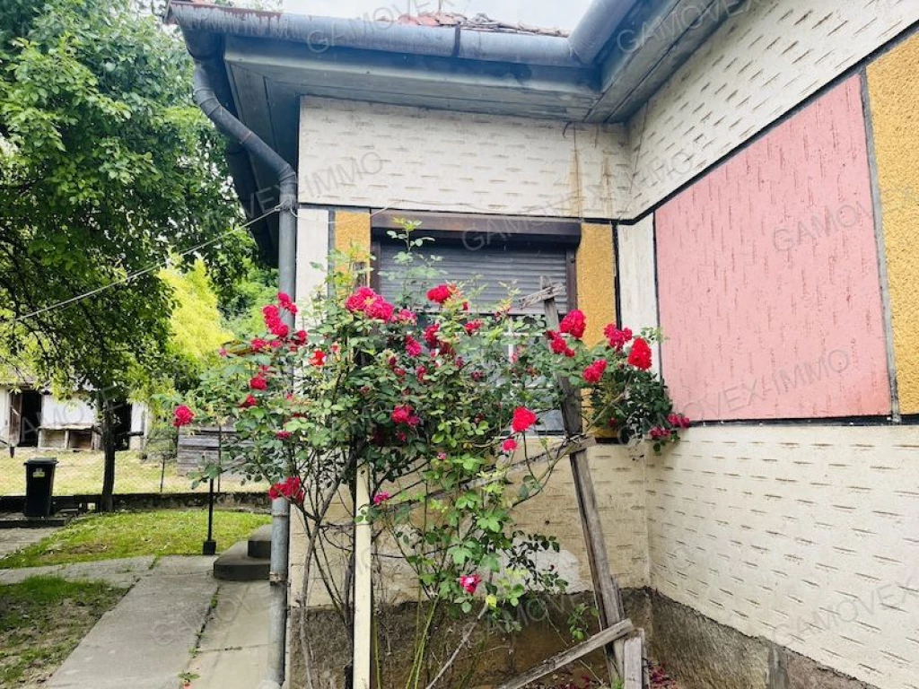 Rejtett lehetőségek Bábonymegyeren