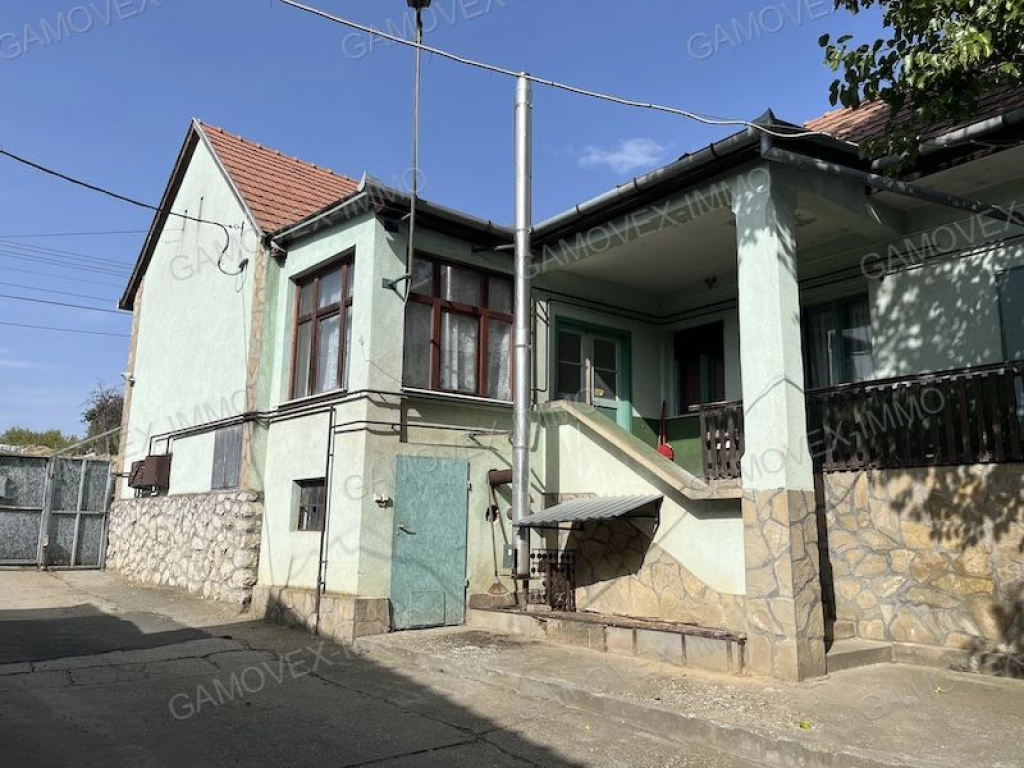 Családi ház céggel, felszerelt telephellyel, gépekkel és járművekkel együtt eladó