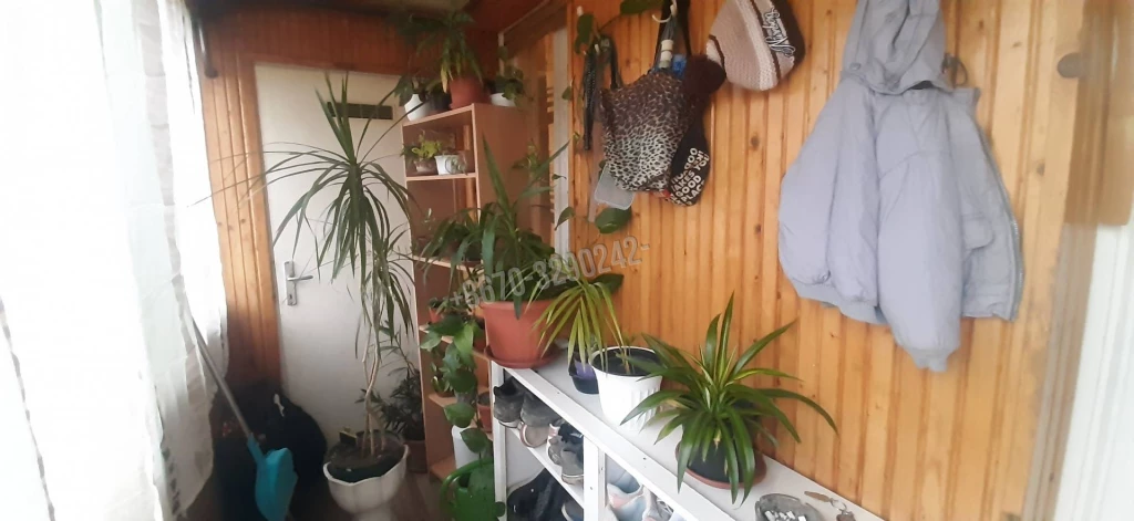 For sale house, Monok