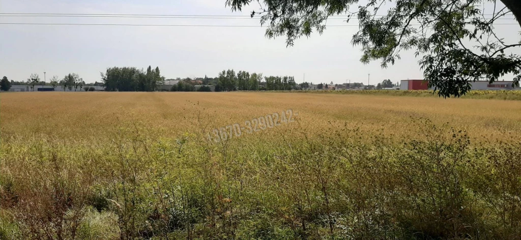 Eladó Gyárépület, Sárospatak, 29580nm, 170000000 Ft