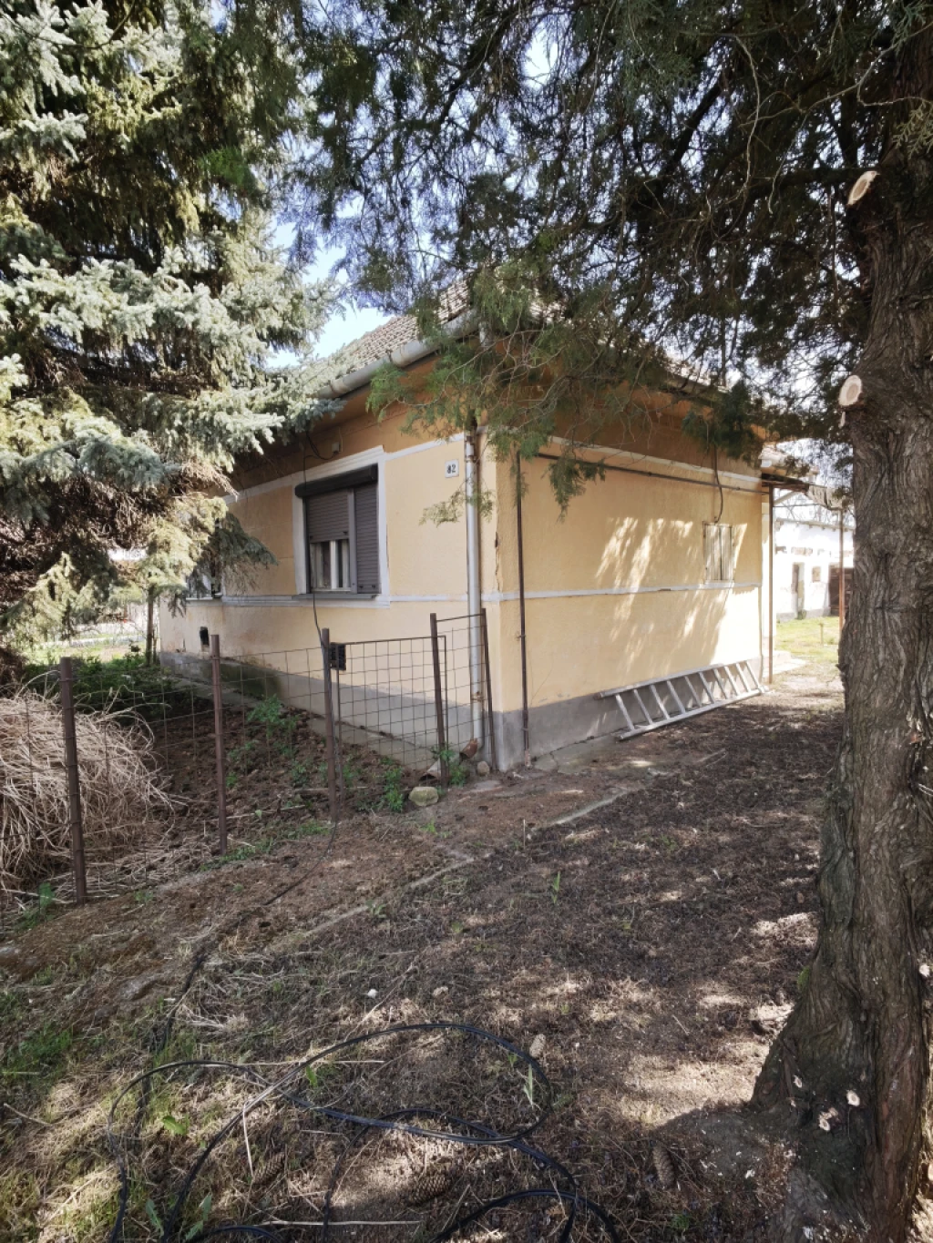 c3-1-name c2-1-name, Igrici, Kossuth utca