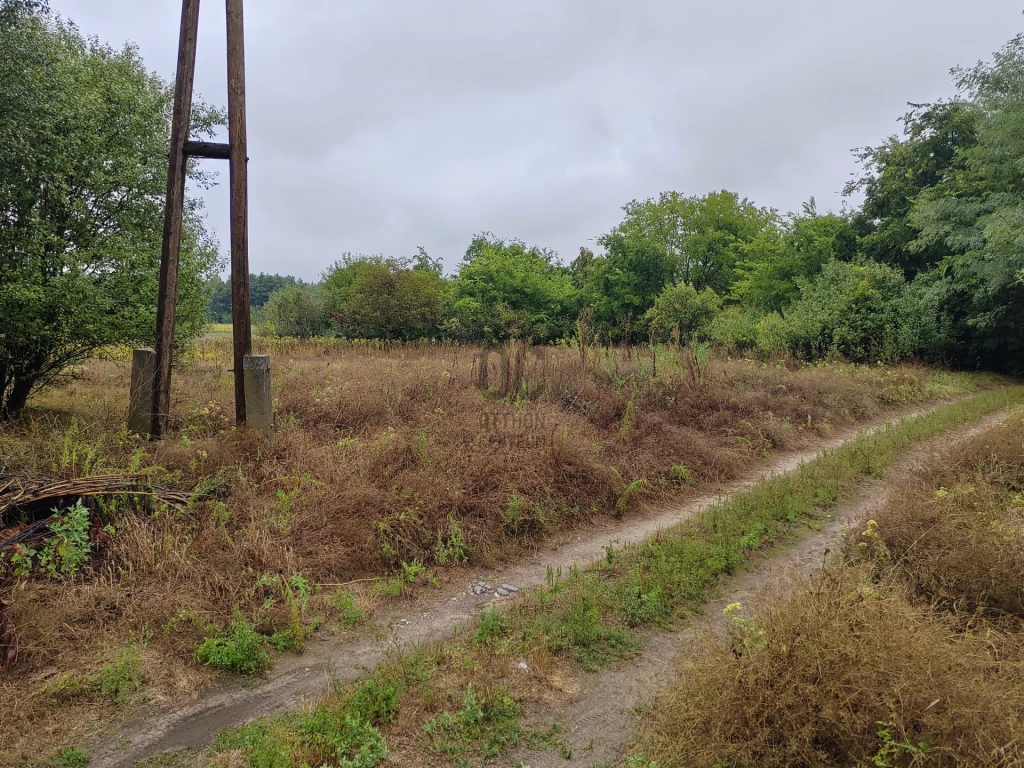 For sale periphery plot, Cegléd, Öregszőlő