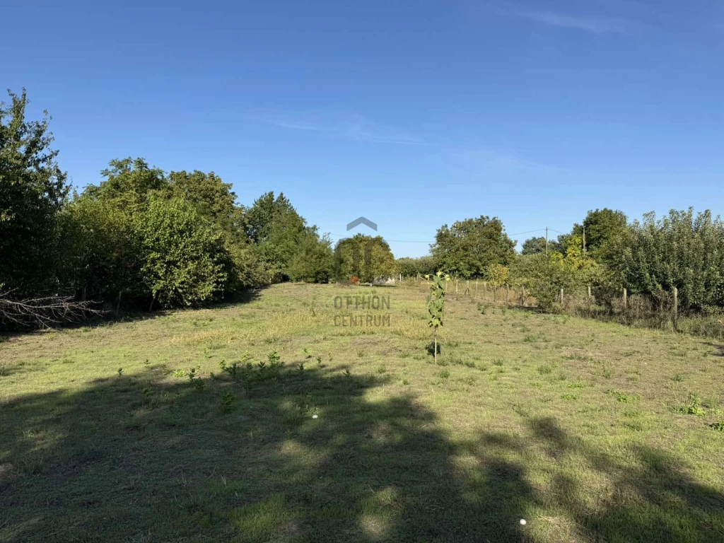 For sale periphery plot, Cegléd, Öregszőlő