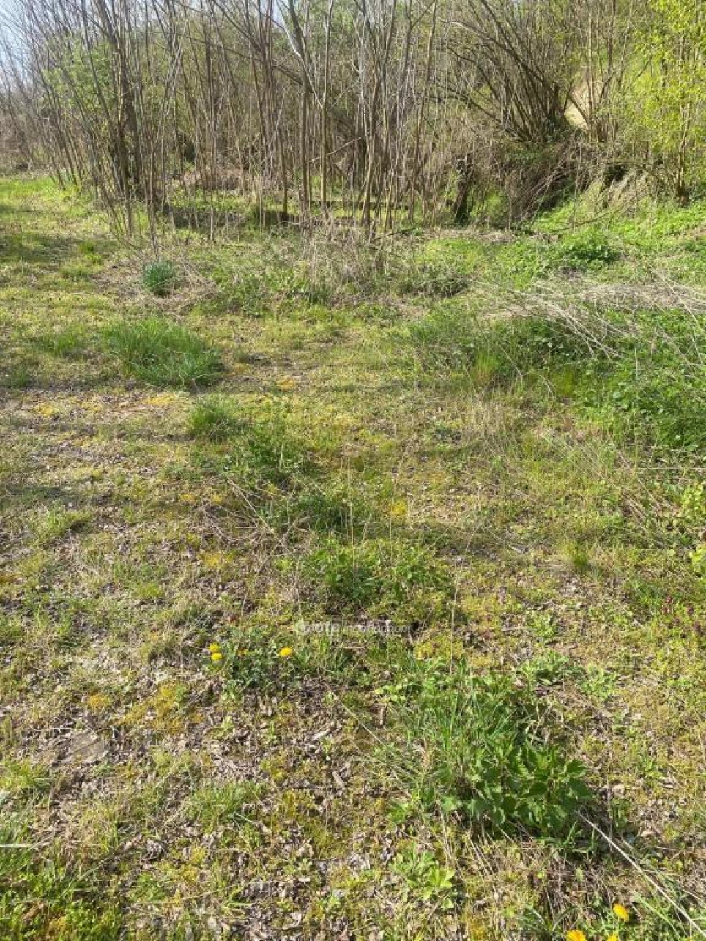 Eladó Telek, Zalabér