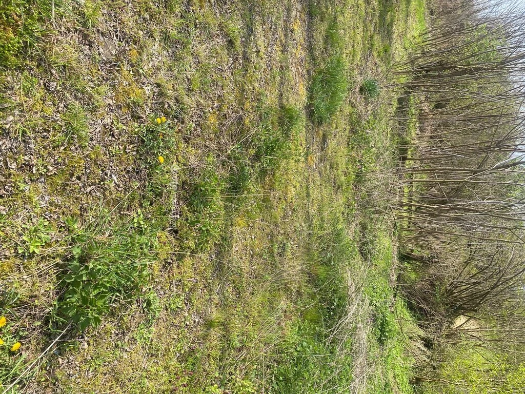 Eladó Telek, Zalabér