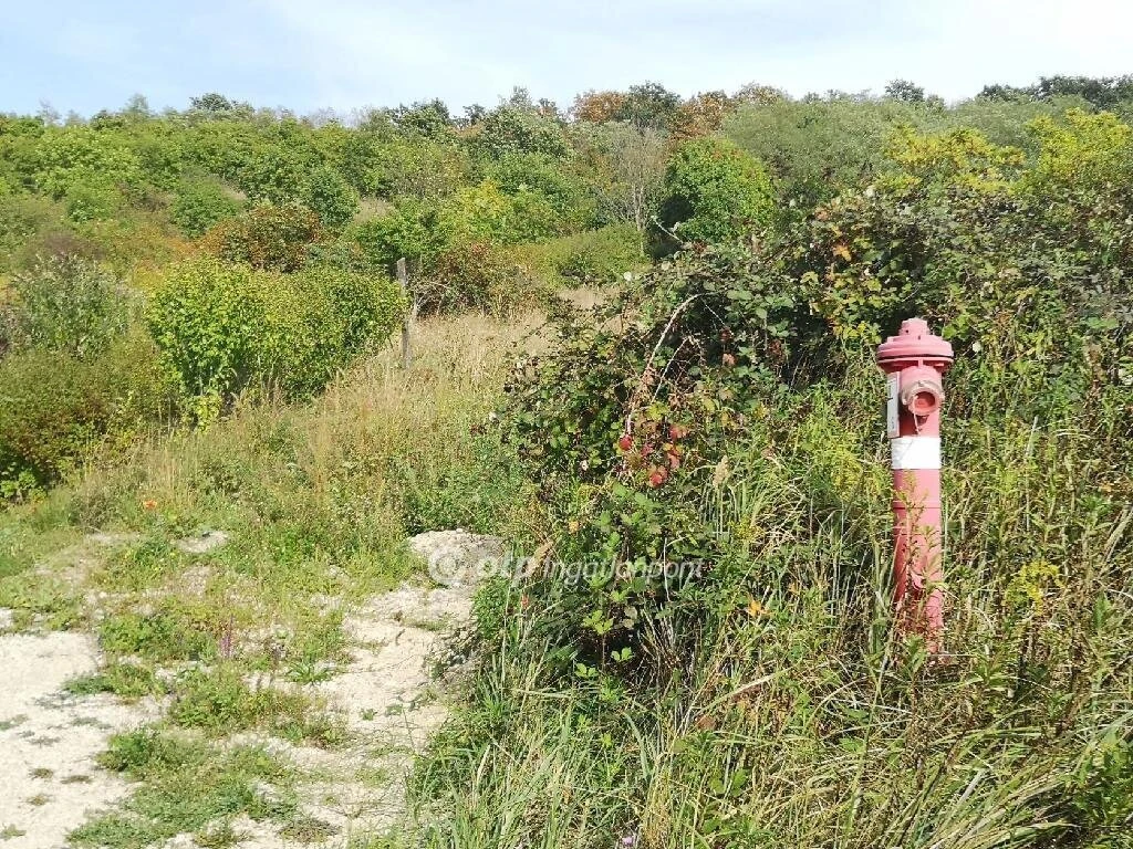 Eladó Telek, Cserszegtomaj