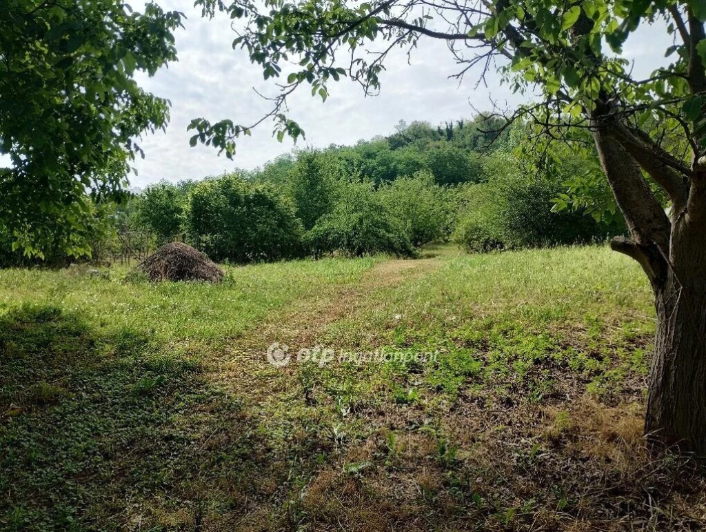 Eladó Telek, Zalaszentgrót