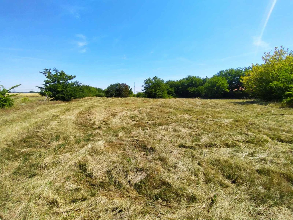 Eladó külterületi legelő Gödön – Befektetőknek és gazdálkodóknak kiváló lehetőség!
