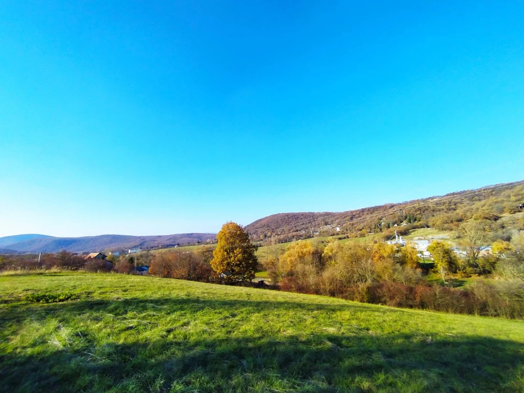 c3-1-name c2-56-name, Verőce, Fehérhegyi dülő