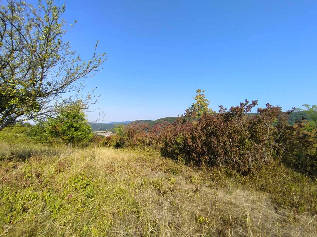 Panorámás külterületi telek eladó Verőcén, Fehérhegyi-dűlőn
