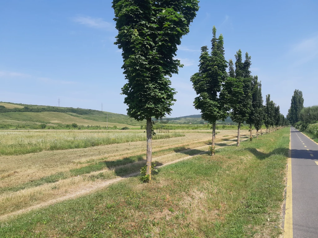 Eladó építési telek, Eger, Felnémet