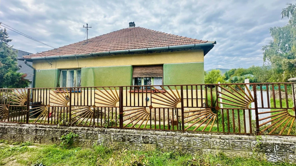 For sale house, Kosd