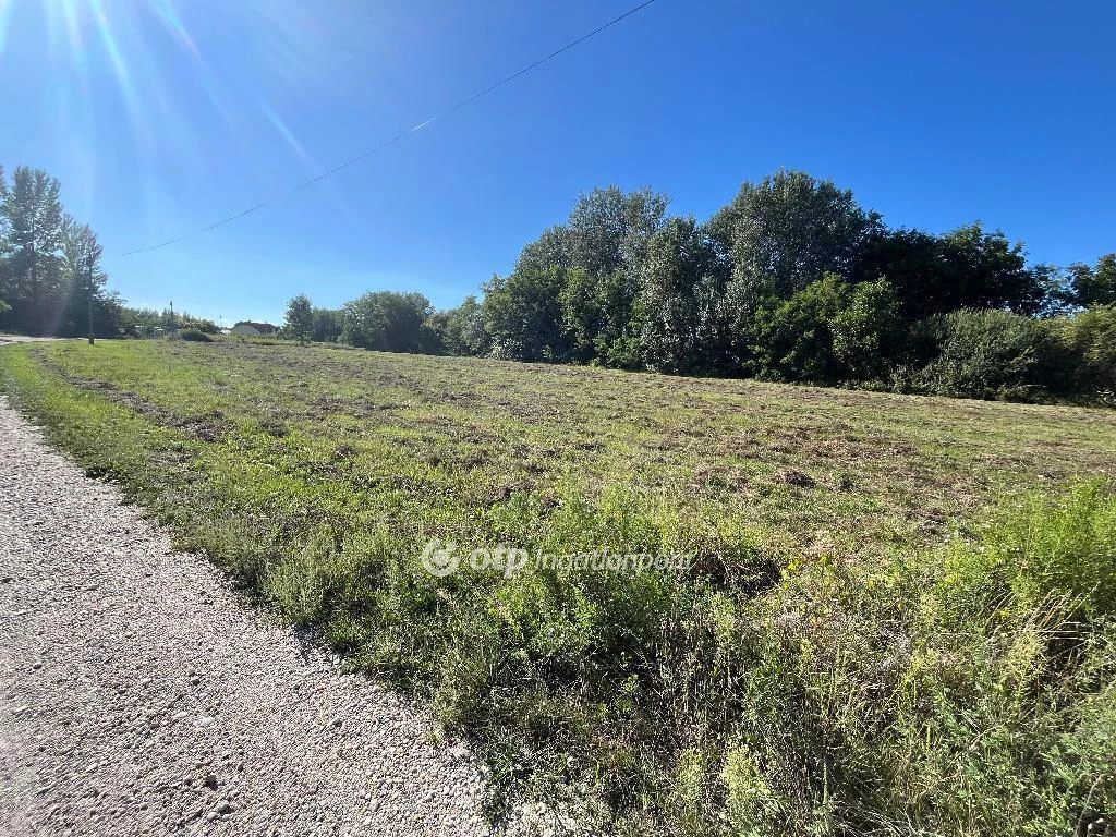 Eladó Telek, Ásványráró