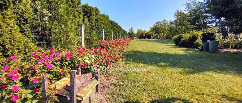 Eladó Telek, Töltéstava