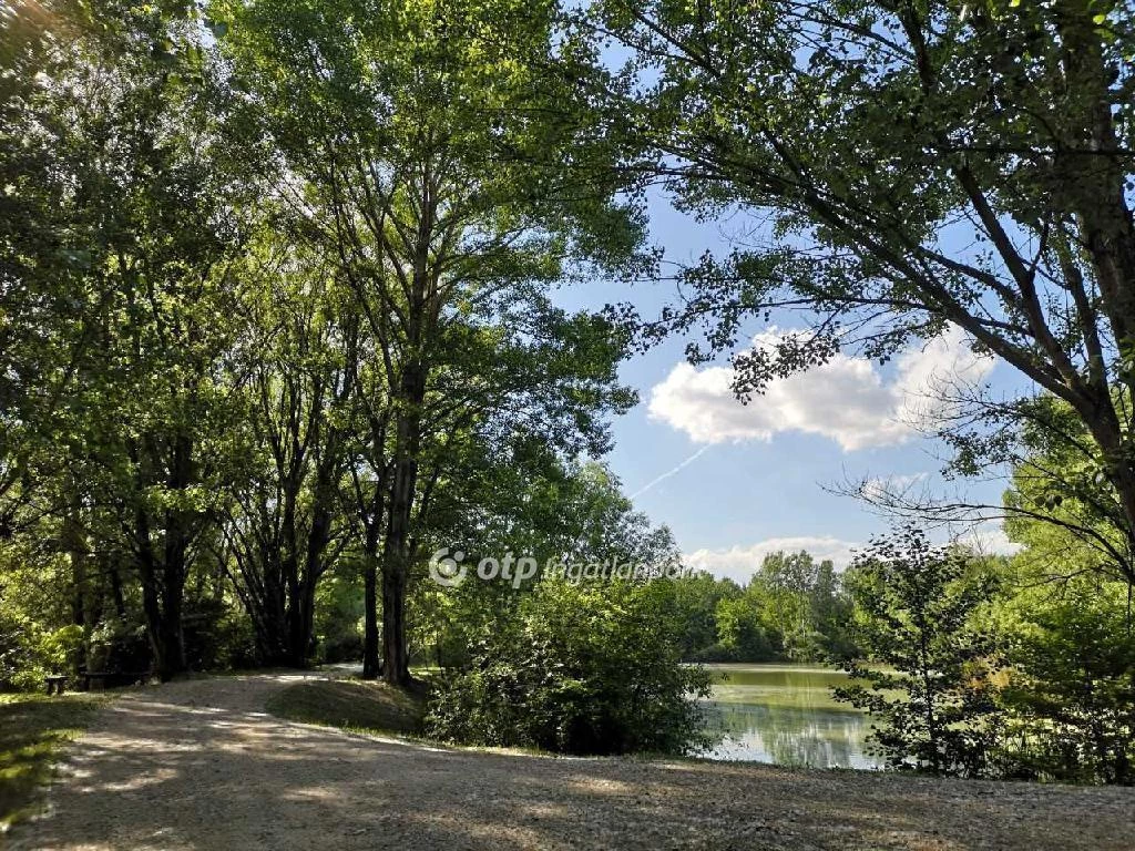 Eladó Ház, Takácsi