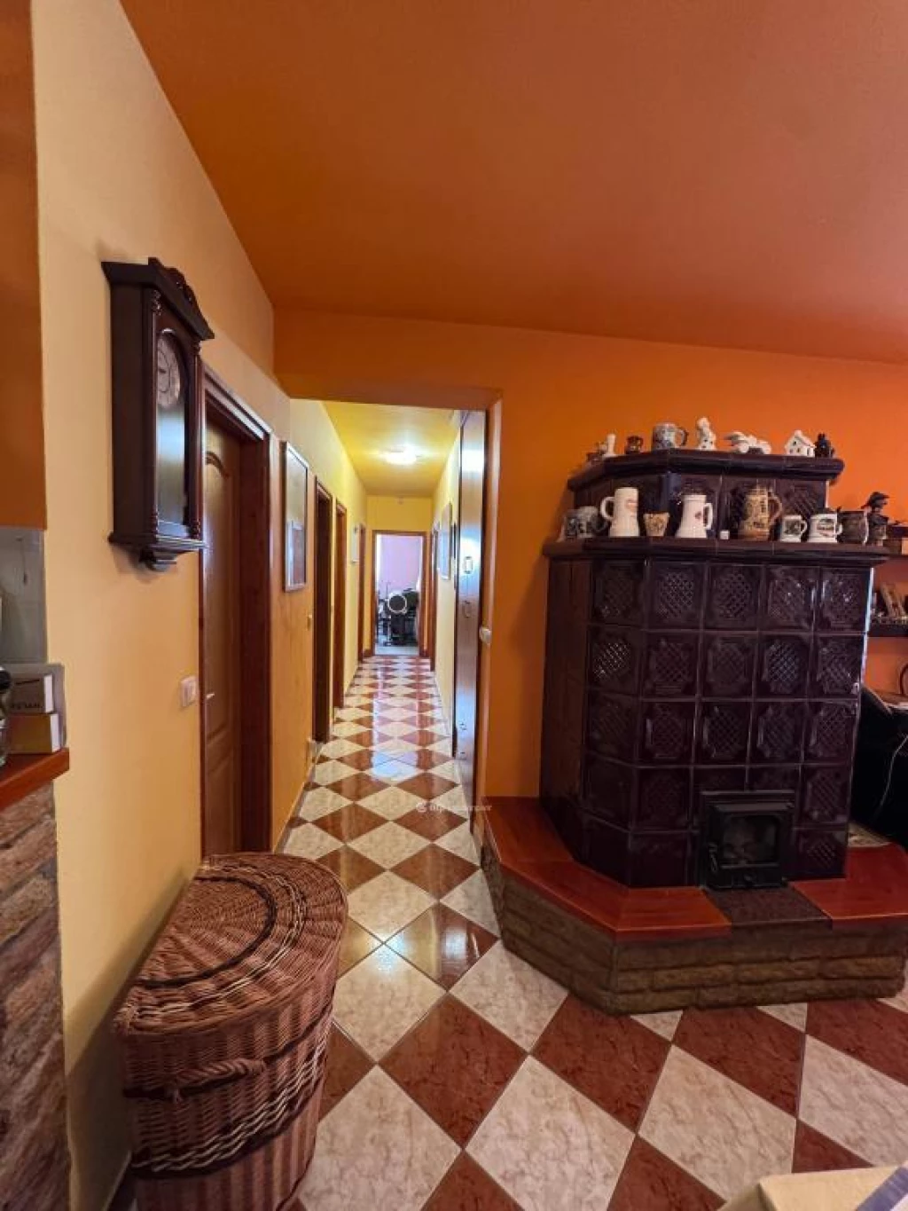 c3-1-name c2-1-name, Nyúl