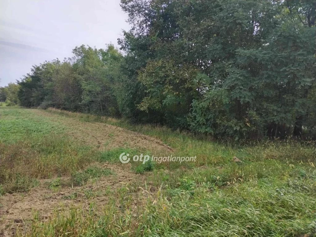 Eladó Telek, Vönöck