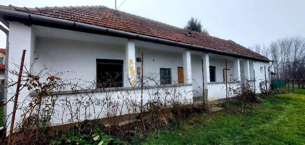 Eladó Ház, Ásványráró