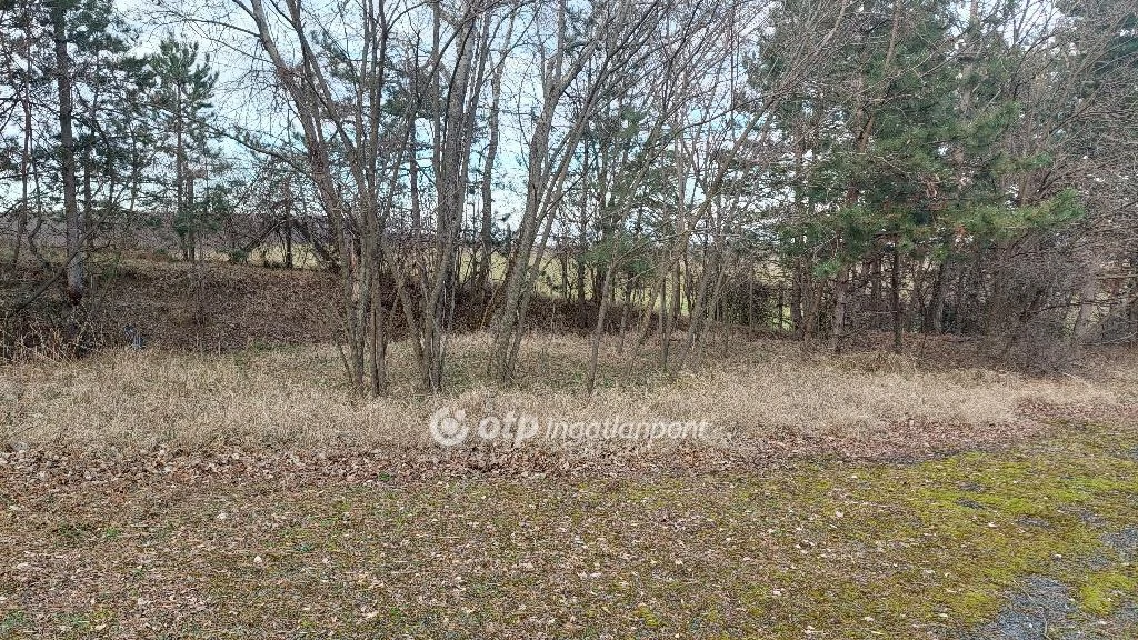 c3-1-name c2-50-name, Tarjánpuszta, Baross tér