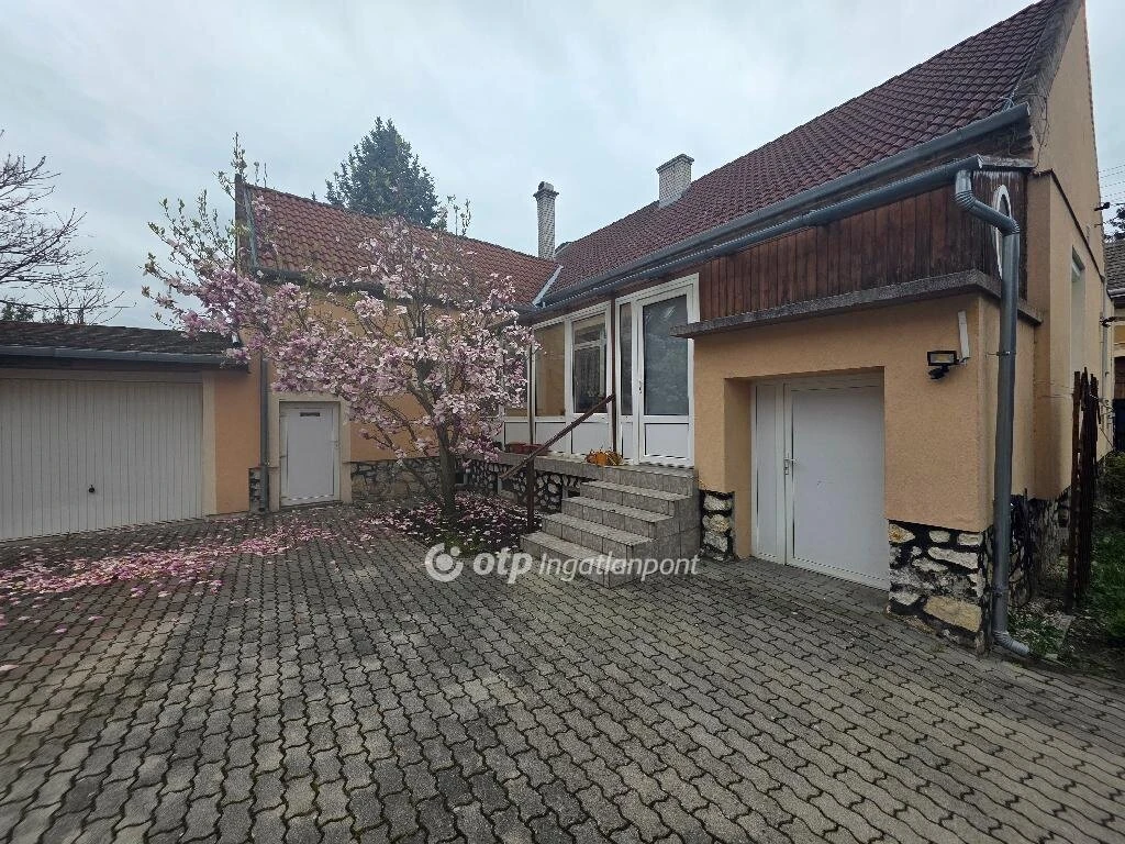 c3-1-name c2-1-name, Pápa