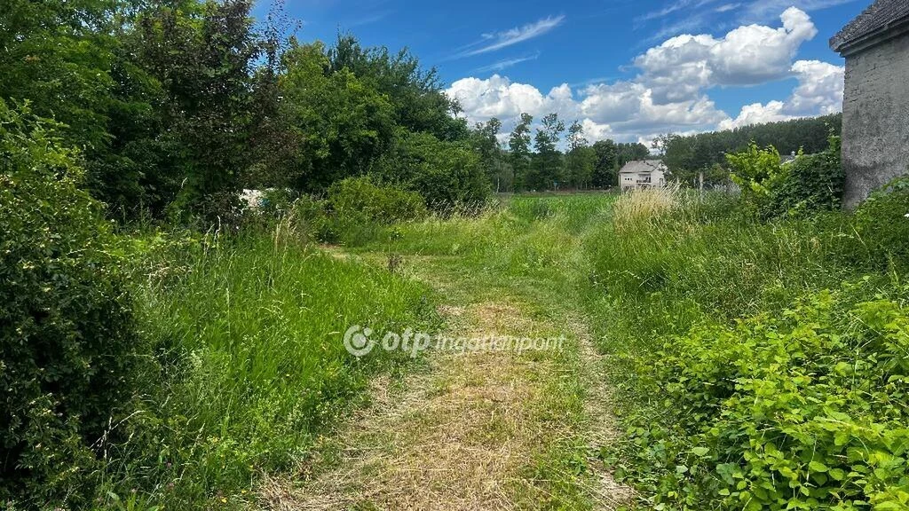 Eladó Telek, Ásványráró