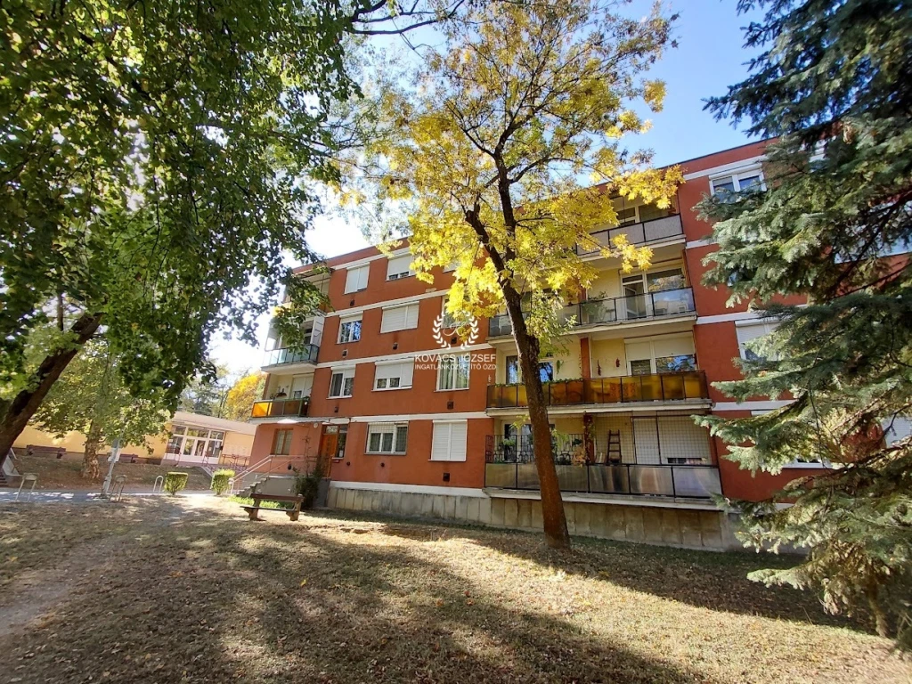 c3-1-name c2-19-name, Ózd, Lehel Vezér út