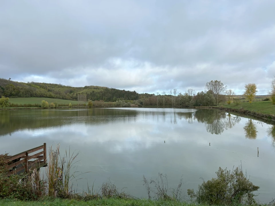 For sale fishpond, Alsónána