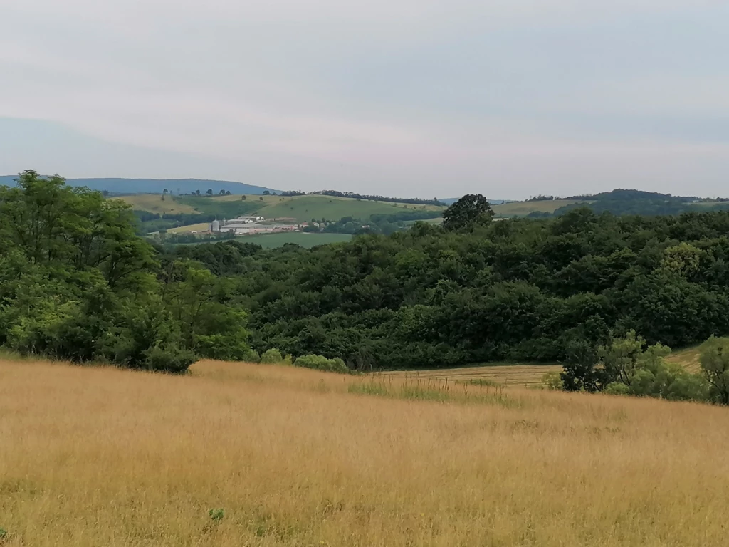 For sale building plot, Magyarszék, Magyarszék