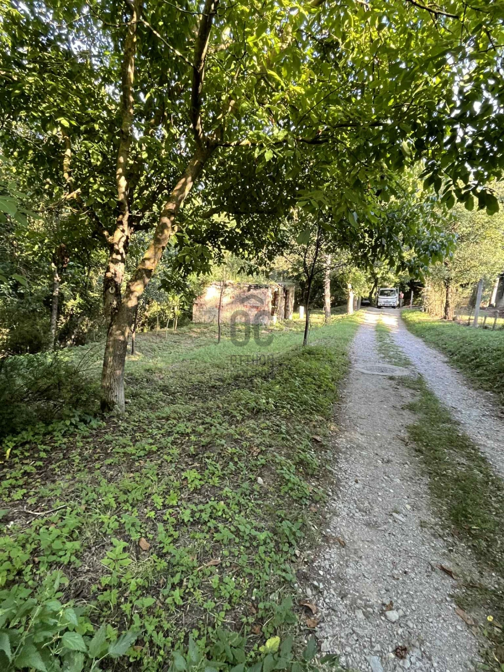 c3-1-name c2-50-name, Pécs, Szabolcs