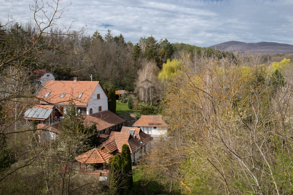 c3-1-name c2-1-name, Pécsvárad, Pécsvárad