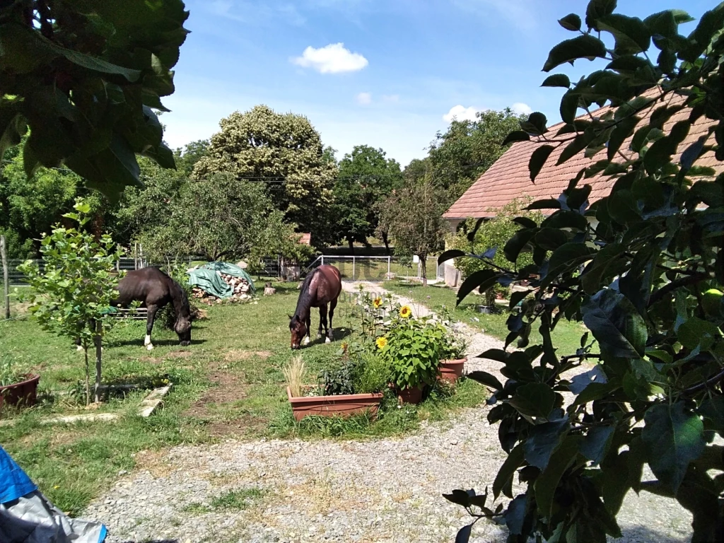 For sale house, Somogyhárságy, Somogyhárságy