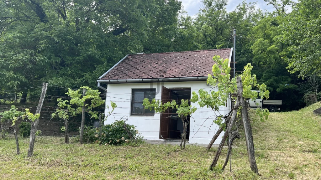Eladó tanya, Szekszárd, Szekszárd