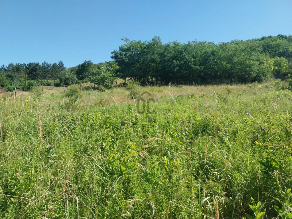 Eladó külterületi telek, Szekszárd, Szőlőhegy