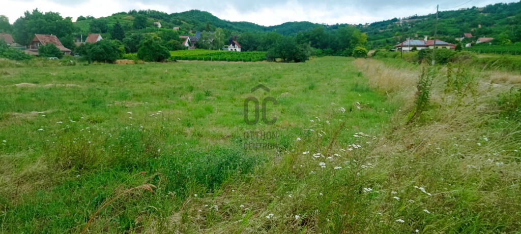 Eladó külterületi telek, Szekszárd, Porkolábvölgy