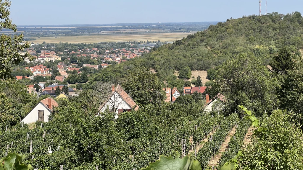 Eladó tanya, Szekszárd, Felsőváros
