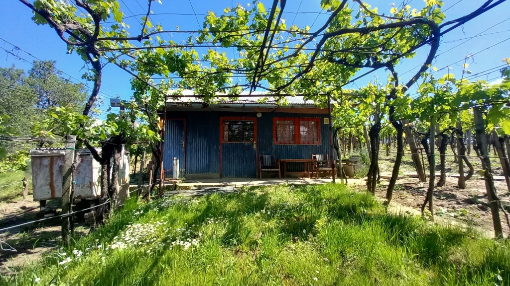 Eladó egyéb mezőgazdasági ingatlan, Szekszárd, Bottyán-hegy