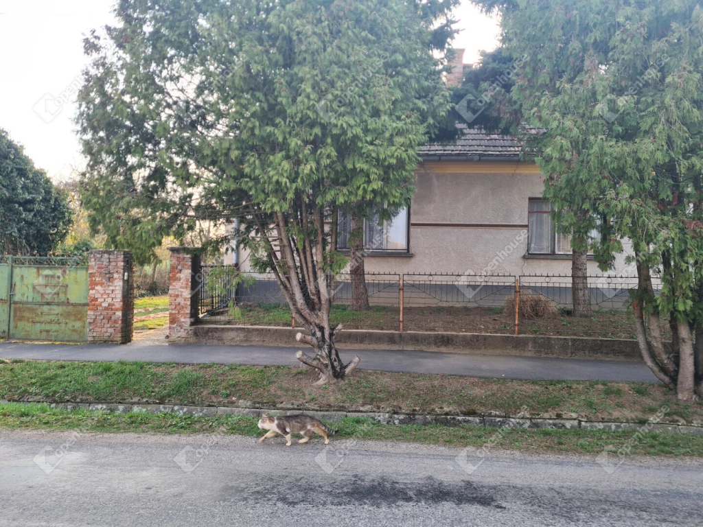 Négy szobás csadi ház eladó Celldömölk közelében!