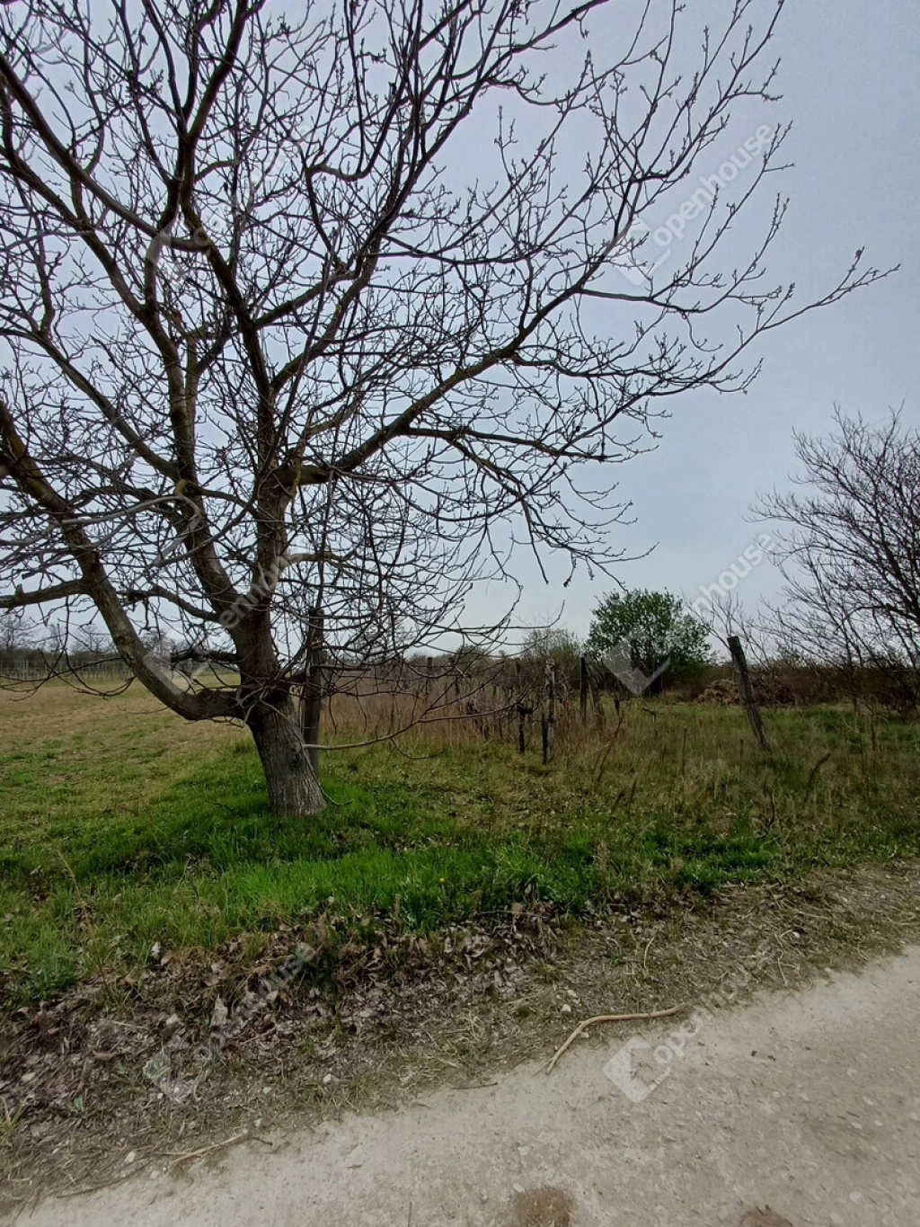 c3-1-name c2-84-name, Fertőszentmiklós