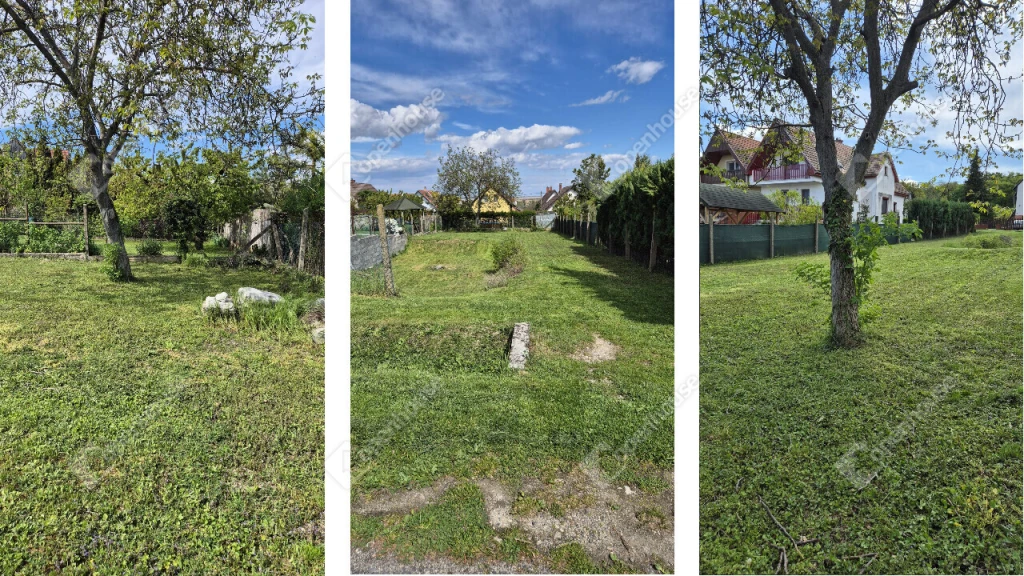 c3-1-name c2-50-name, Fertőrákos