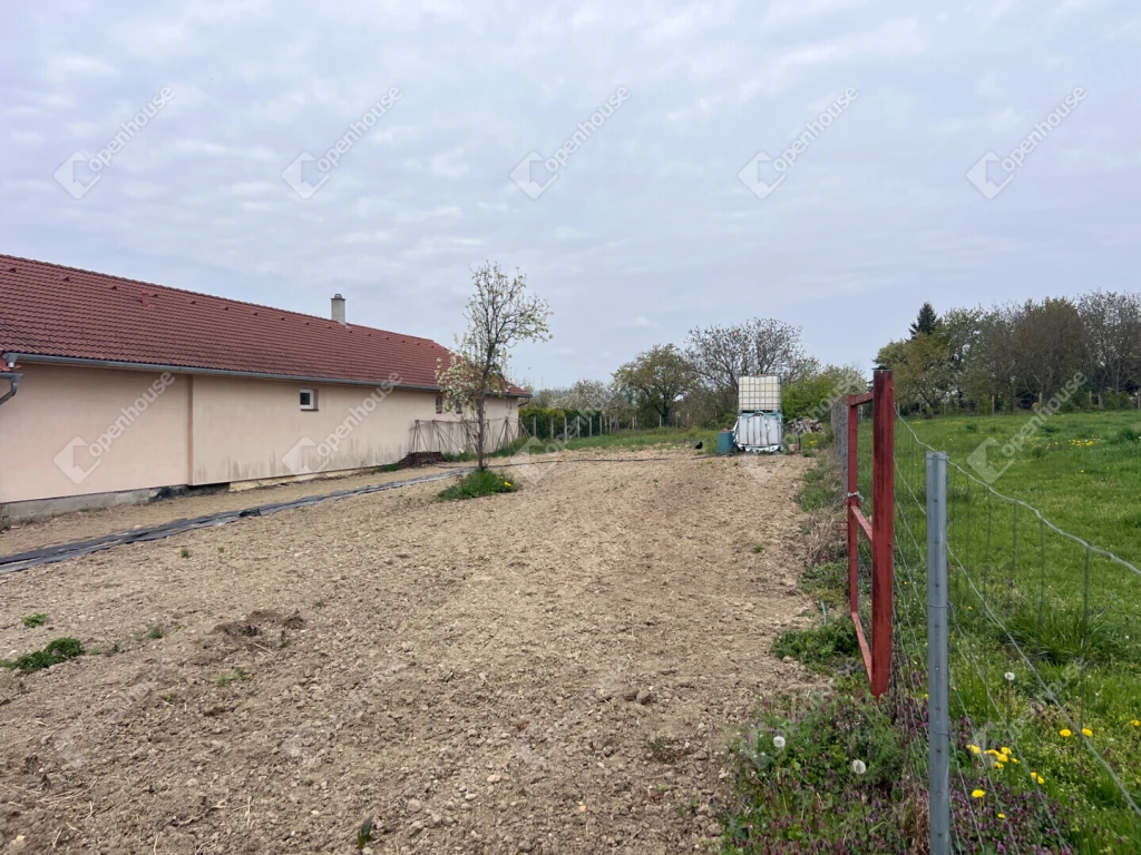 c3-1-name c2-50-name, Kópháza, Szeder sor