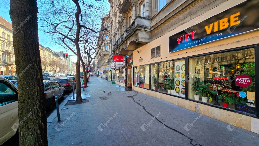 For sale store, Budapest VII. kerület, Nagykörúton belüli terület, Erzsébet körút