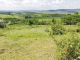 Eladó Telek