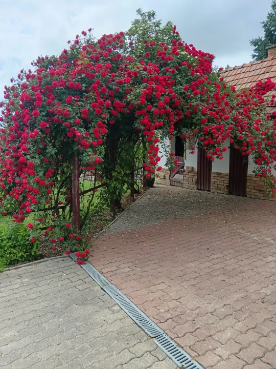 Eladó családi ház, Hímesháza