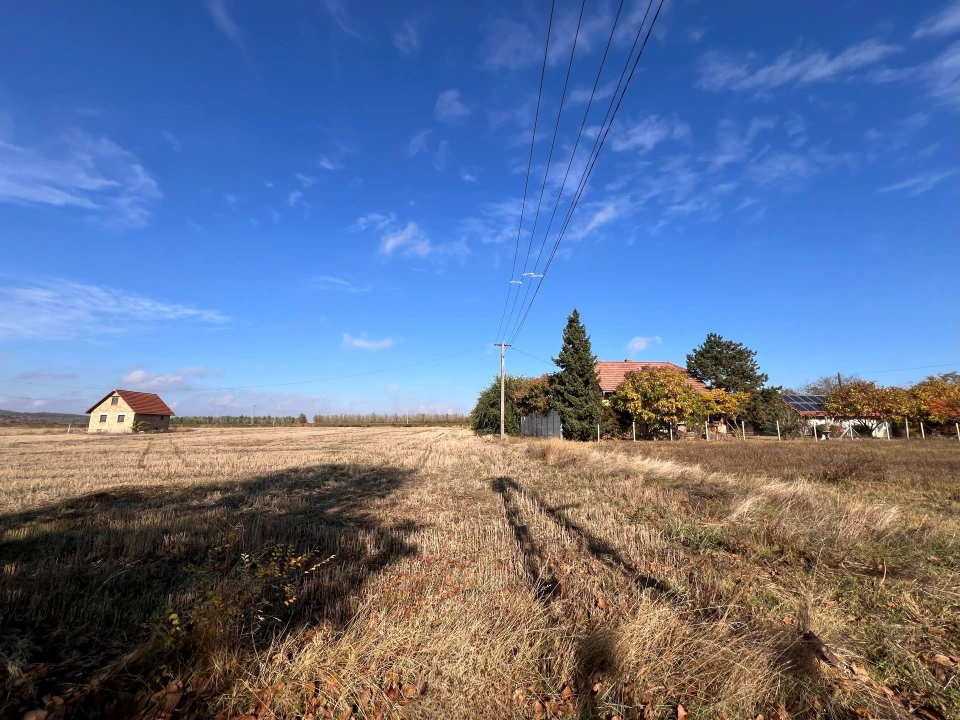 Eladó külterületi telek, Mohács