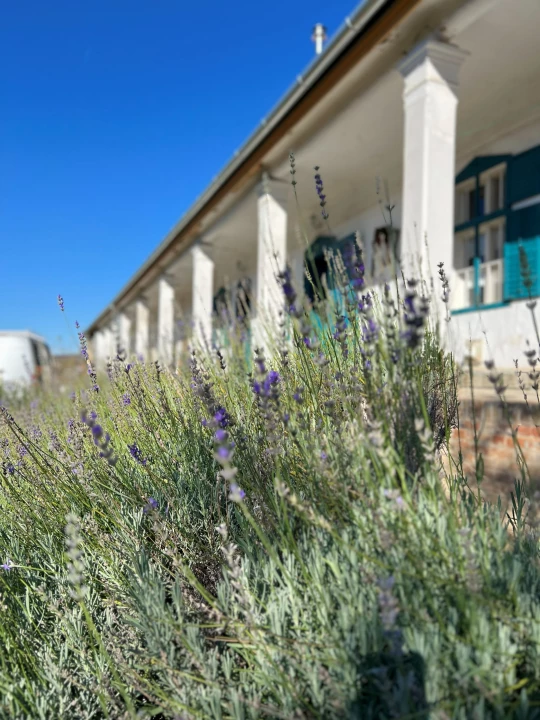 Eladó családi ház, Véménd